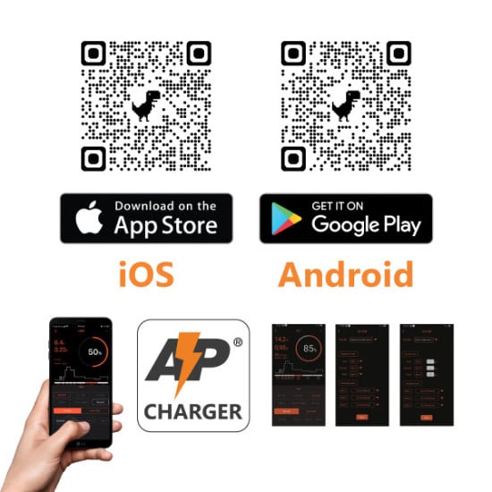 CARICABATTERIA - SWITC AUTO 6A 6V/12V 1.2-150AH LIFEPO4